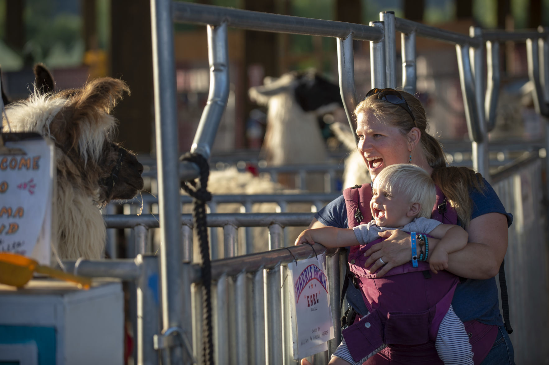 Coos County Fair